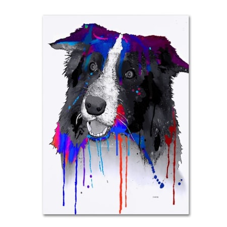 Marlene Watson 'Border Collie' Canvas Art,24x32